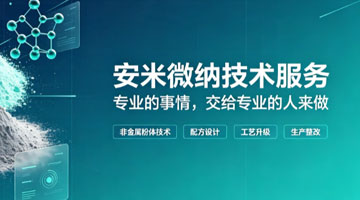 安米微纳技术服务